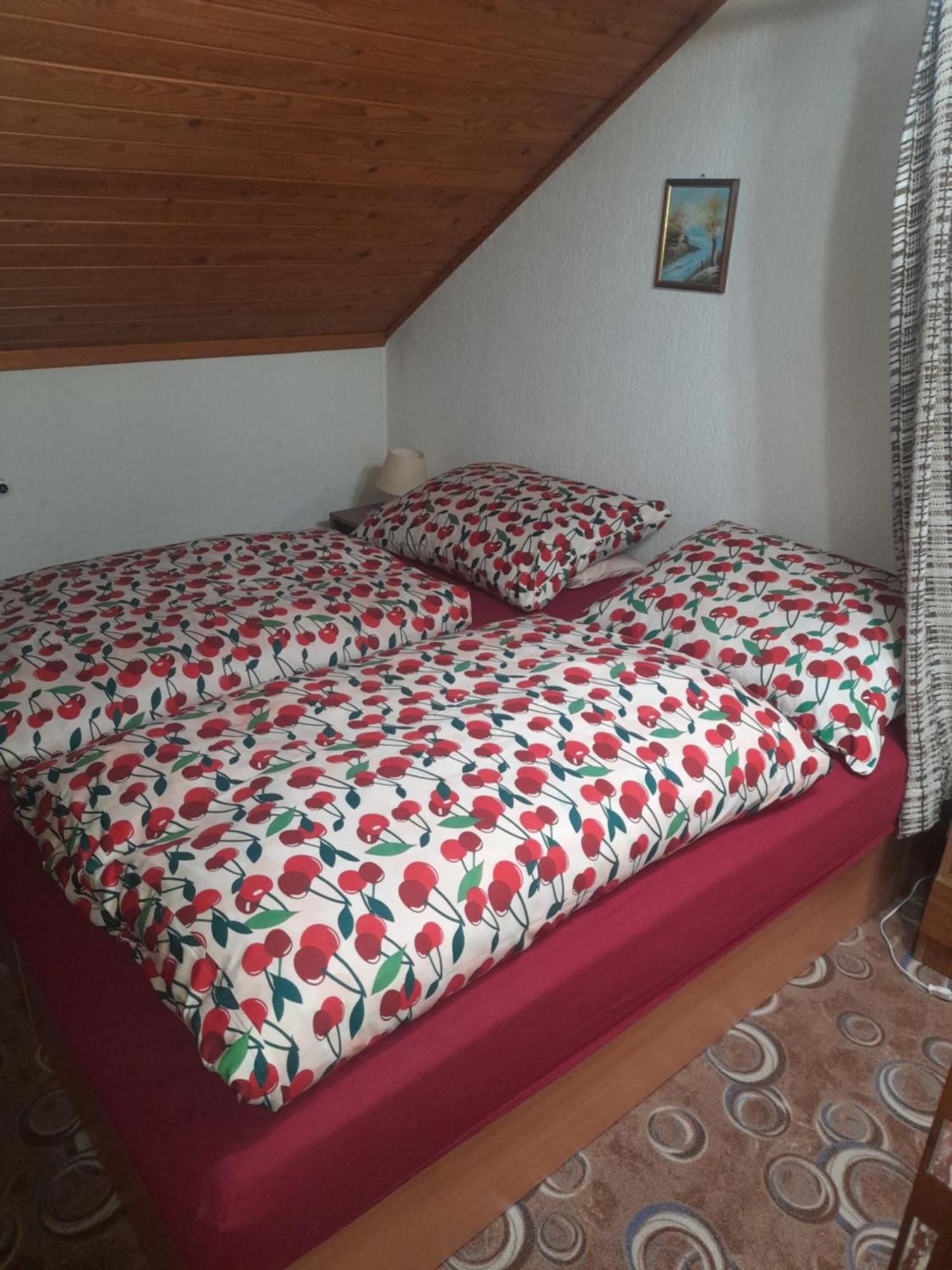 Penzion Krušnohorka Tatrovice Exterior foto
