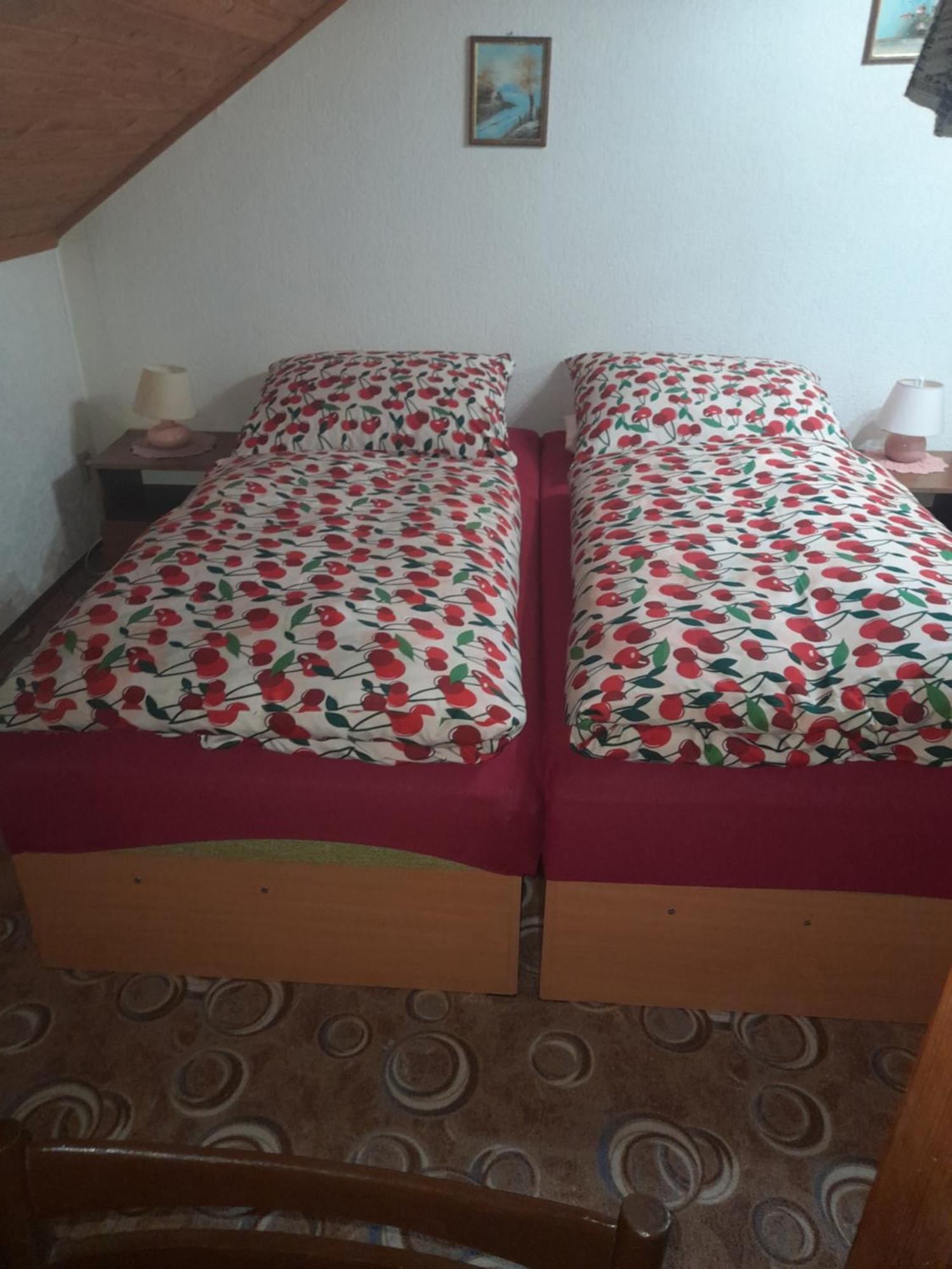 Penzion Krušnohorka Tatrovice Exterior foto